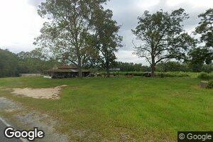 1576 Fred Carter Rd, Odum, GA 31555