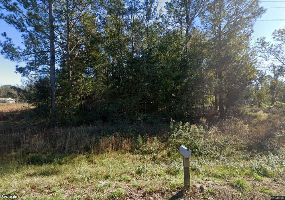 1766 George Swindell Rd, Ludowici, GA 31316 - photo 1