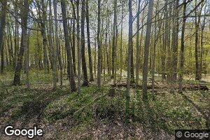7313 W Mount Hope Hwy, Mulliken, MI 48861