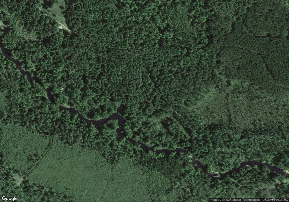 W9017 Thornapple Ln, Tomahawk, WI 54487 - photo 1