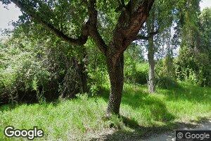 Coronado II, Land O' Lakes, FL 34638