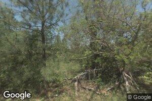 237 Railroad St, Butler, GA 31006