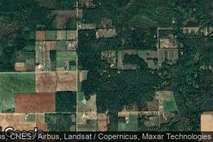 520 E Cutler Rd, Edmore, MI 48829