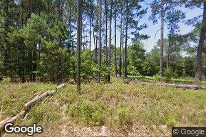 2797 W Alcorn Farm Rd, Chester, GA 31012