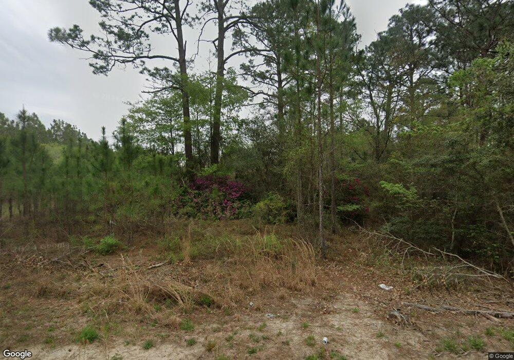 977 Jeff Lewis Rd, Douglas, GA 31533 - photo 1