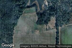 654 Lower Meigs Rd, Meigs, GA 31765