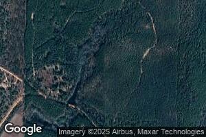 1355 Bethlehem Rd, Mauk, GA 31058