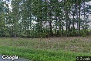 2656 Mossingford Rd, Saxe, VA 23967