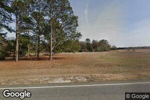9602 Ga Highway 121 S, Cobbtown, GA 30420