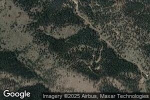 31114 Grey Eagle Dr, Pine, CO 80470