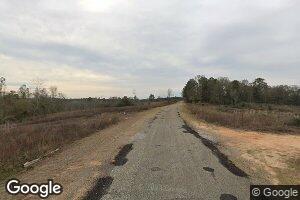 3358 County Road 45, Silas, AL 36919