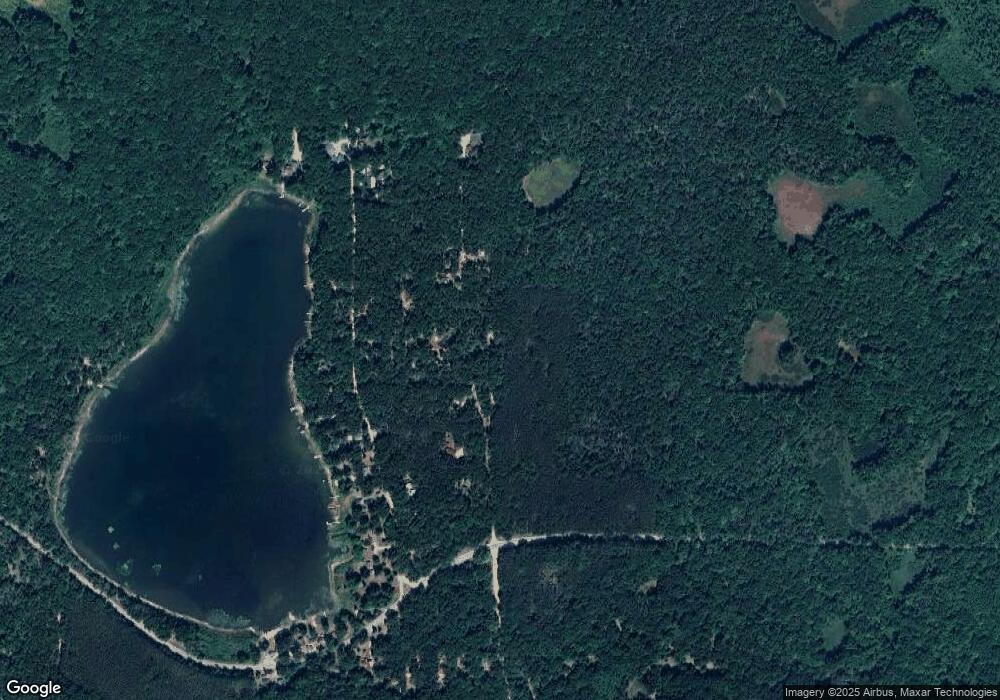 VL W Sisters Lake Blvd, Bitely, MI 49309 - photo 1