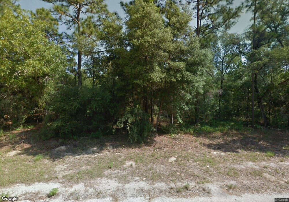 3249 W Talinum Place, Citrus Springs, FL 34433 - photo 1