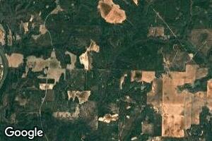 560 AC Pine Grove Church Rd, Fort Gaines, GA 39851