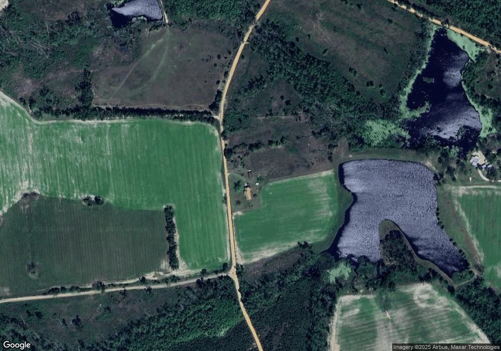 289 Pony Rd, Alma, GA 31510 - photo 1