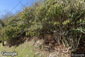 227 Buckeye Ln, Seven Devils, NC 28604