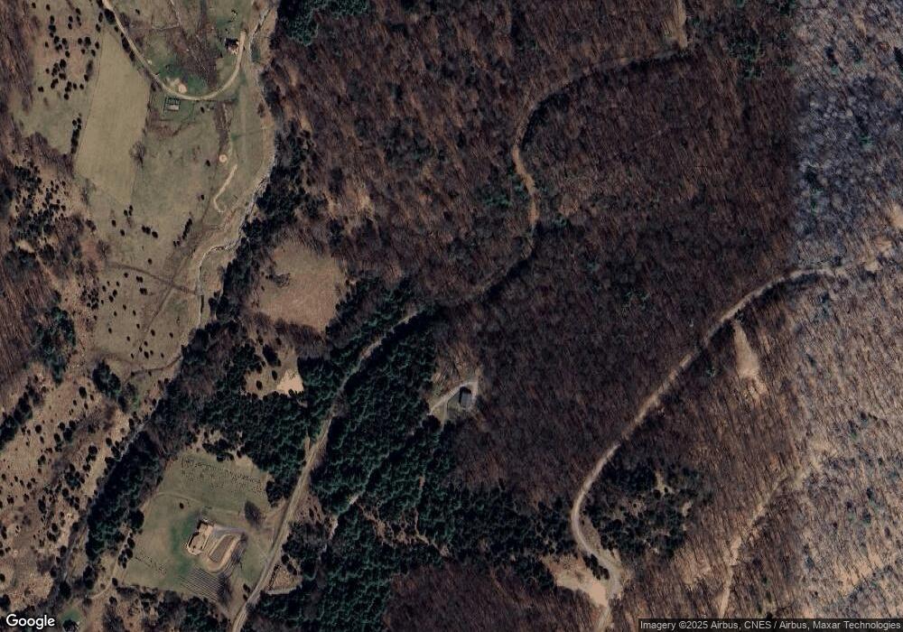 898 Native Trout Dr, Sugar Grove, WV 26815 - photo 1