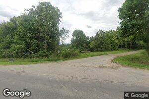 9697 S Cork Rd, Morrice, MI 48857