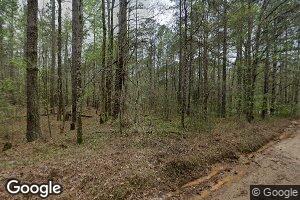 323 Arthur Brown Rd, Warm Springs, GA 31830