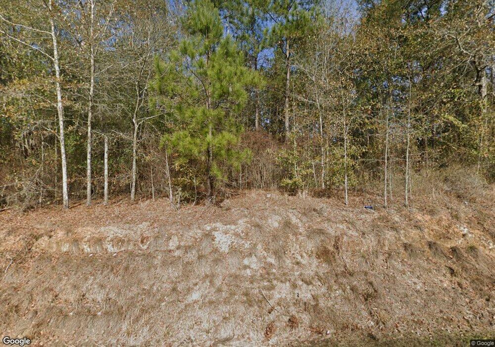 3525 Dollar Store Rd, Ochlocknee, GA 31773 - photo 1