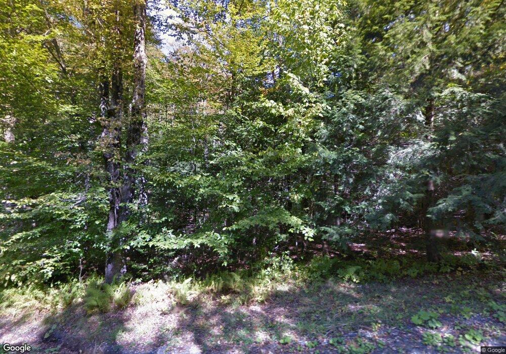 32 Minor Rd, Wilmington, VT 05363 - photo 1