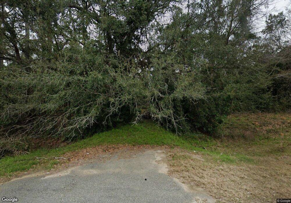 5199 Us Highway 84, Dixie, GA 31629 - photo 1