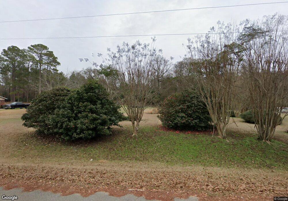 147 Green Duck Rd, Leslie, GA 31764 - photo 1