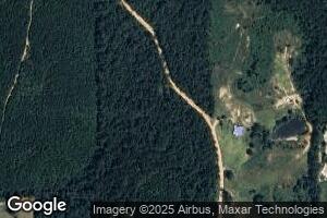 96 Barrytown Rd, Silas, AL 36919