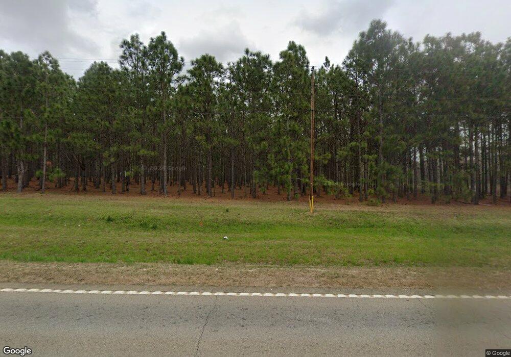 211 Ga Highway 46, Register, GA 30452 - photo 1