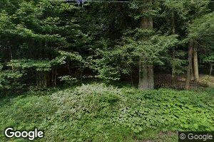 2387 Shadyside Rd, Findley Lake, NY 14736