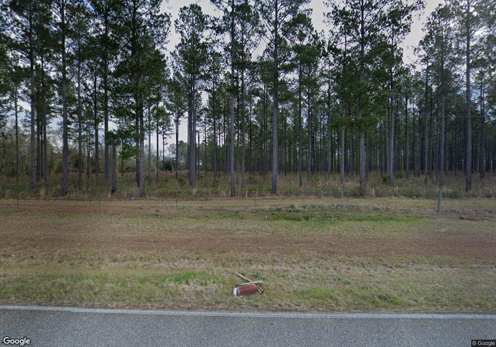 3982 Lake Douglas Rd, Climax, GA 39834 - photo 1