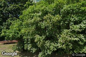 163 Marion Dr, West Orange, NJ 07052