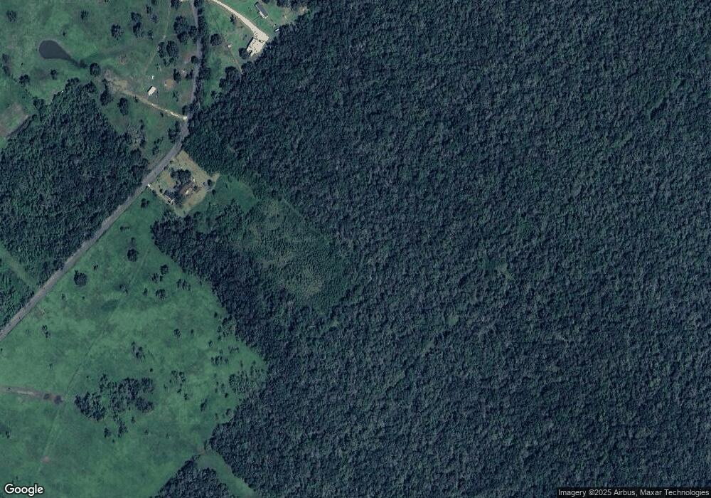 20511 County Road 319, Brazoria, TX 77422 - photo 1