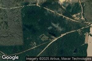64 Old Helena Milan Rd, Helena, GA 31037