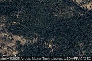 1388 Gold Lake Rd, Ward, CO 80481