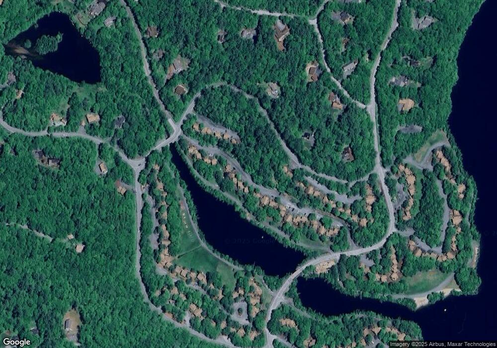 613 Otter Rd unit 613, Grantham, NH 03753 - photo 1