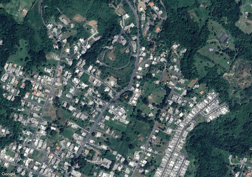 Paraiso unit 24, Cidra, PR 00739 - photo 1