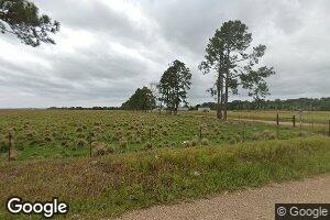 17428 Kyle Rd, Welsh, LA 70591