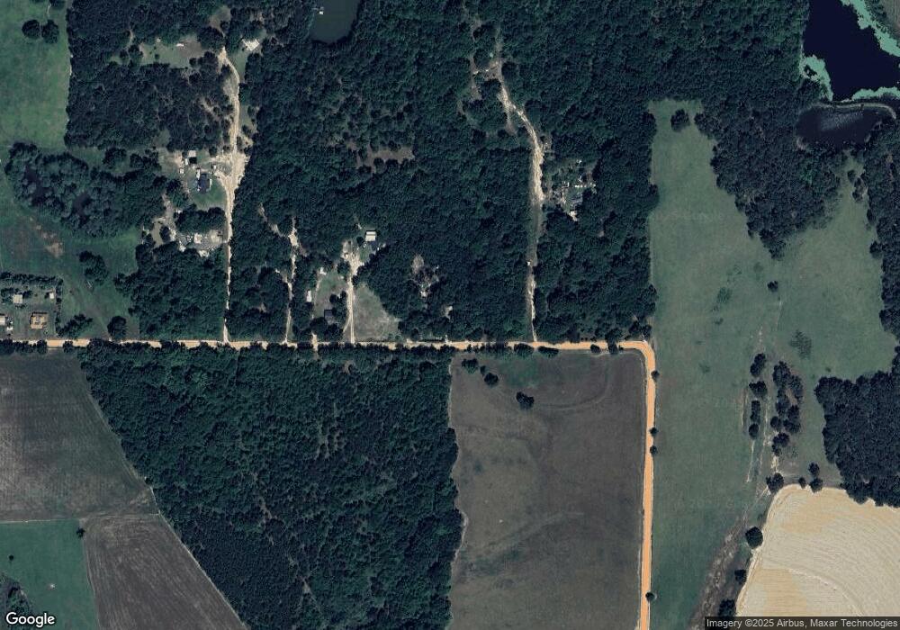 1082 Howell Rd, Doerun, GA 31744 - photo 1