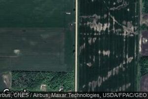 29571 260th Ave, Badger, MN 56714