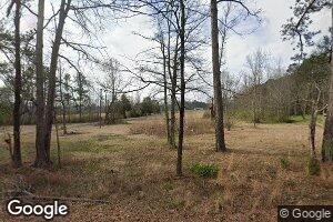 10338 Hillsboro Ludlow Rd, Lena, MS 39094