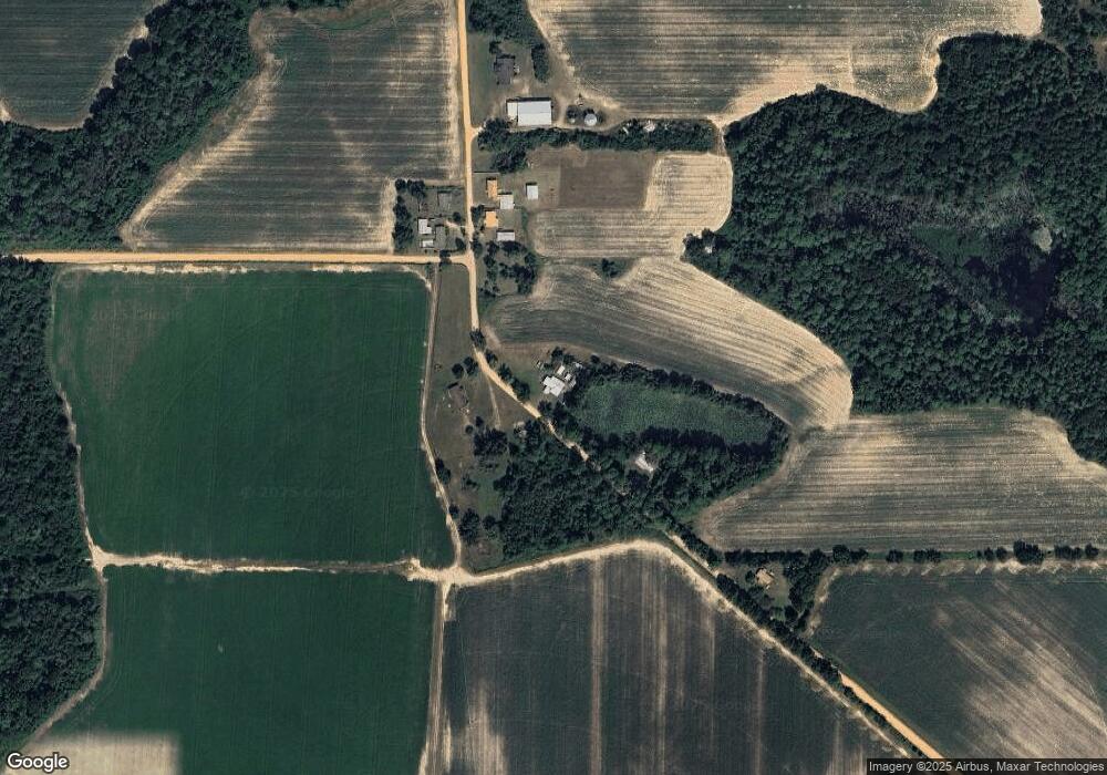 217 Jw Wingate Rd, Doerun, GA 31744 - photo 1