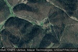 1105 W Fork Rd, Chloe, WV 25235