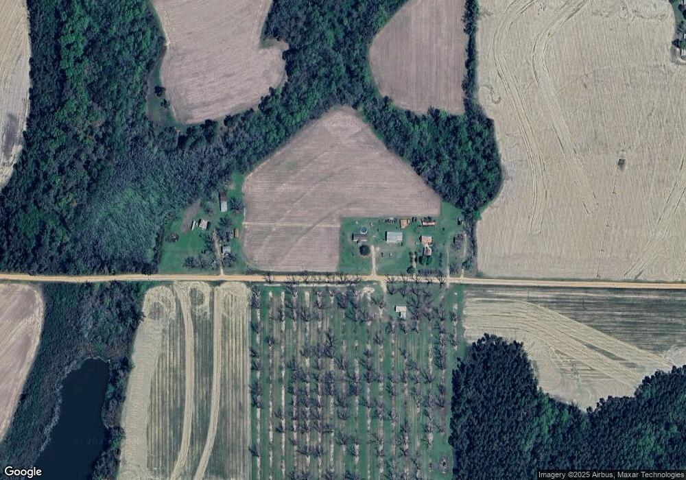 2620 Store Rd, Pelham, GA 31779 - photo 1