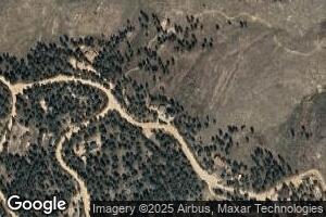 42 Holmes Gulch Way, Bailey, CO 80421