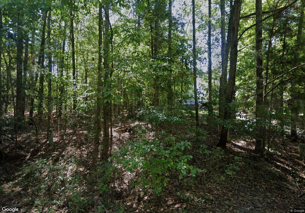 135 Willowood Cove, Chapin, SC 29036 - photo 1