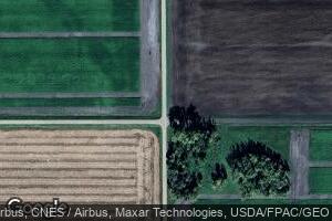 17596 430th Ave NW, Alvarado, MN 56710