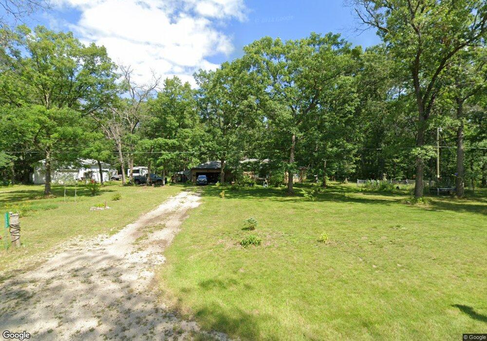 11770 N Bingham Ave, Bitely, MI 49309 - photo 1