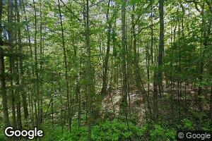 2772 N Crooked Lake Rd, Curran, MI 48728