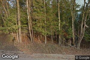 1751 S Barlow Rd, Mikado, MI 48745